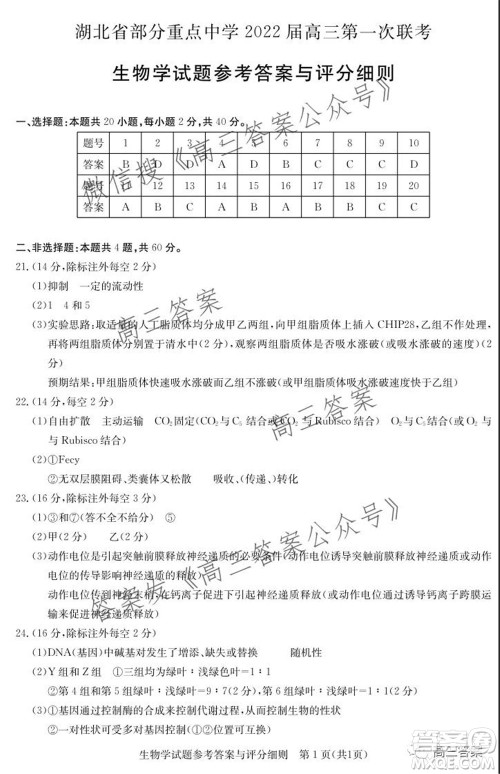 湖北省部分重点中学2022届高三第一次联考生物试题及答案