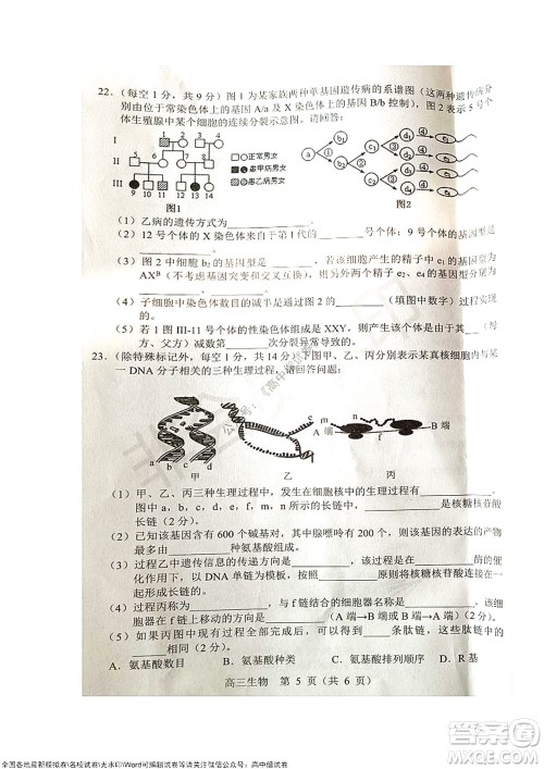 2021-2022学年度上学期沈阳市郊联体期中考试高三生物试题及答案