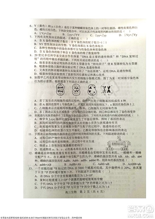 2021-2022学年度上学期沈阳市郊联体期中考试高三生物试题及答案