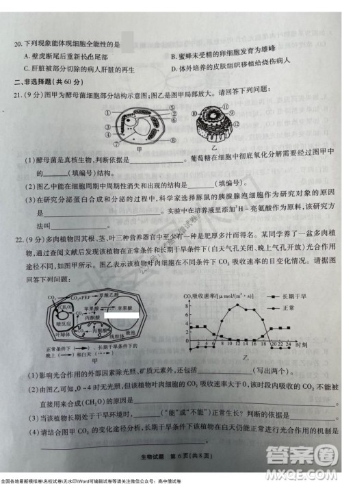 重庆市高2022届高三第三次质量检测生物试题及答案