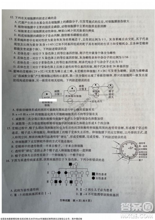 重庆市高2022届高三第三次质量检测生物试题及答案