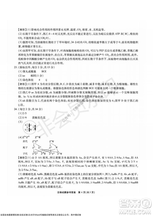 重庆市高2022届高三第三次质量检测生物试题及答案