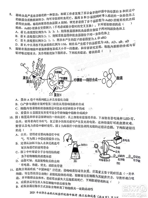 2021年秋季鄂东南省级示范高中教育教学改革联盟学校期中联考高三生物试题及答案 2021年秋季鄂东南省级示范高中教育教学改革联盟学校期中联考高三生物试题及答案