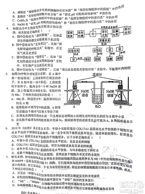 2021年秋季鄂东南省级示范高中教育教学改革联盟学校期中联考高三生物试题及答案 2021年秋季鄂东南省级示范高中教育教学改革联盟学校期中联考高三生物试题及答案