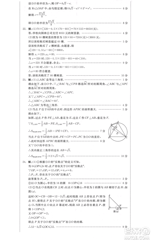 阳光出版社2021全品作业本九年级上册数学苏科版参考答案