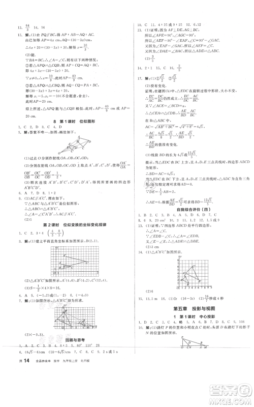 阳光出版社2021全品作业本九年级上册数学北师大版参考答案