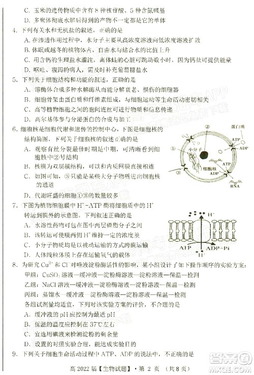 重庆市名校联盟2021-2022学年度第一次联合考试生物试题及答案