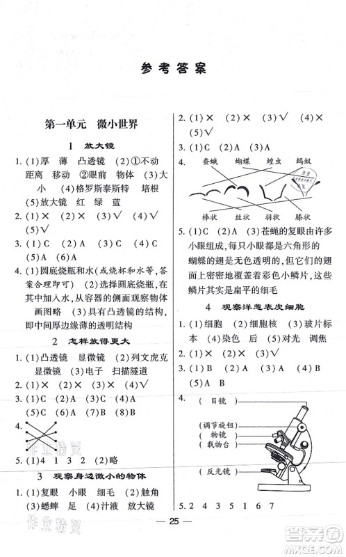 宁夏人民教育出版社2021棒棒堂学霸课时作业六年级科学上册JK教科版答案