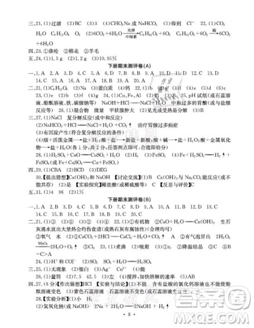 光明日报出版社2021大显身手素质教育单元测评卷化学九年级全一册人教版答案