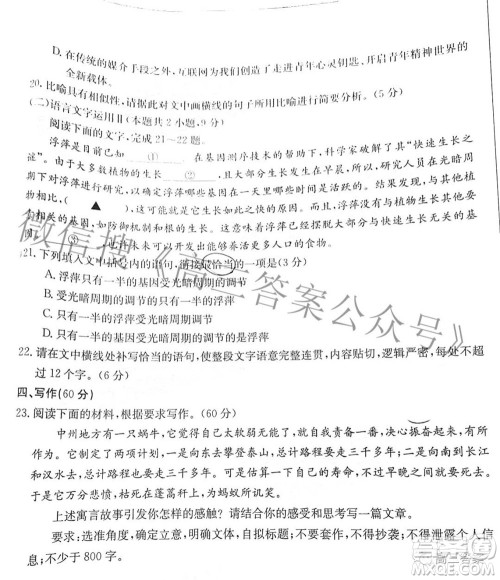 2022届福建金太阳高三期中考试语文试题及答案 2022届福建金太阳高三期中考试语文试题及答案