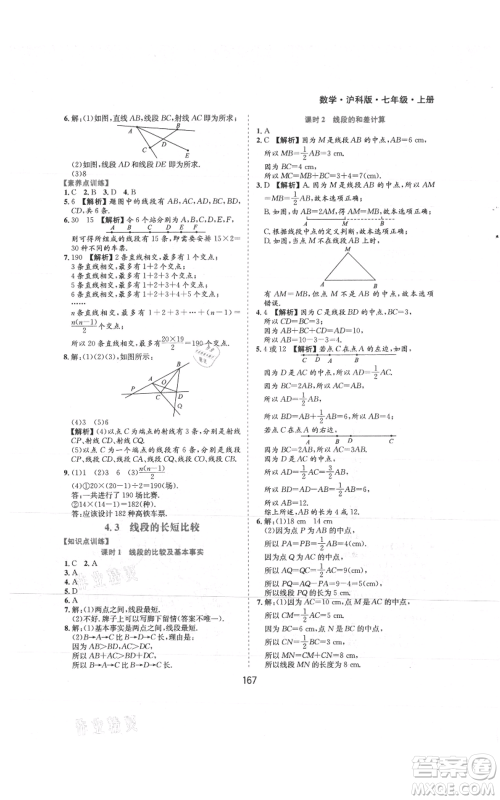 黄山书社2021新编基础训练七年级上册数学沪科版参考答案