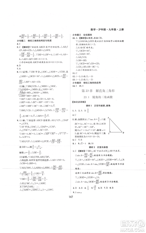 黄山书社2021新编基础训练九年级上册数学沪科版参考答案