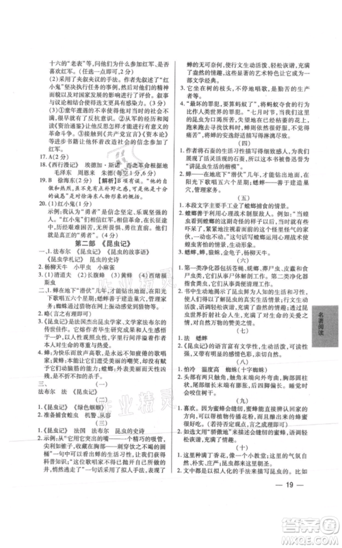 天津科学技术出版社2021基础精练八年级上册语文人教版深圳专版参考答案