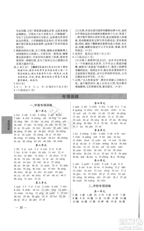 天津科学技术出版社2021基础精练八年级上册语文人教版深圳专版参考答案
