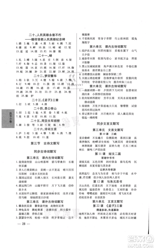 天津科学技术出版社2021基础精练八年级上册语文人教版深圳专版参考答案