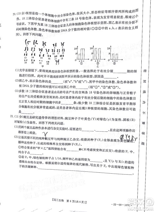 2022届福建金太阳高三期中考试生物试题及答案