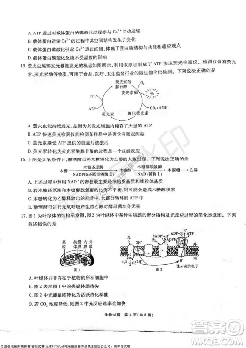 江淮十校2022届高三第二次联考生物试题及答案