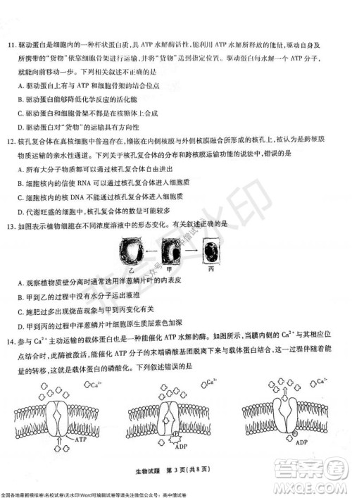 江淮十校2022届高三第二次联考生物试题及答案