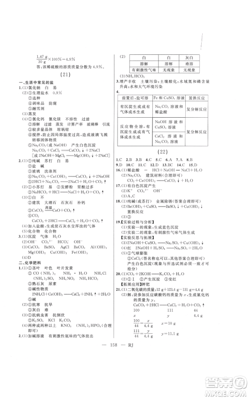 延边人民出版社2021总复习测试九年级化学人教版参考答案