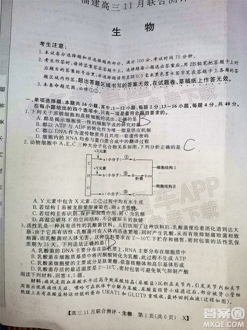 2022届福建高三11月联合测评生物试题及答案 2022届福建高三11月联合测评生物试题及答案