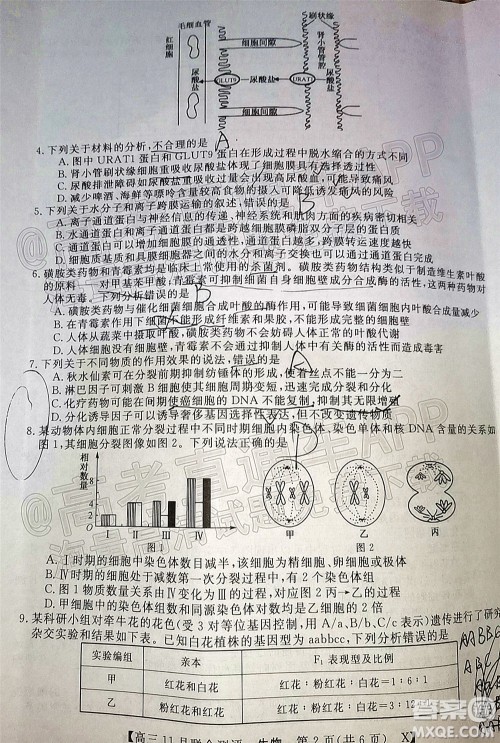 2022届福建高三11月联合测评生物试题及答案