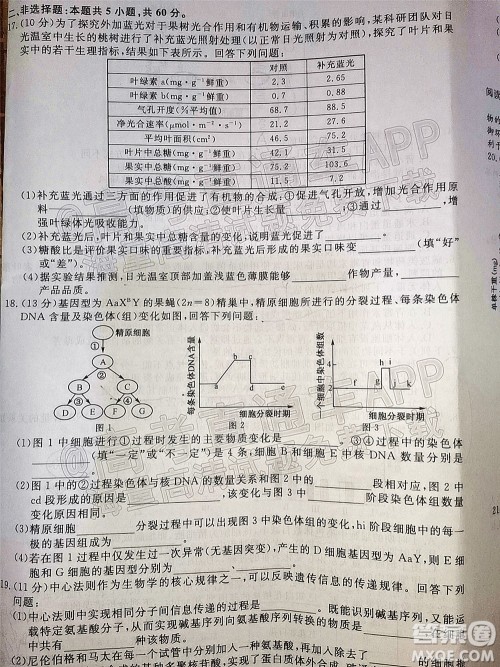 2022届福建高三11月联合测评生物试题及答案