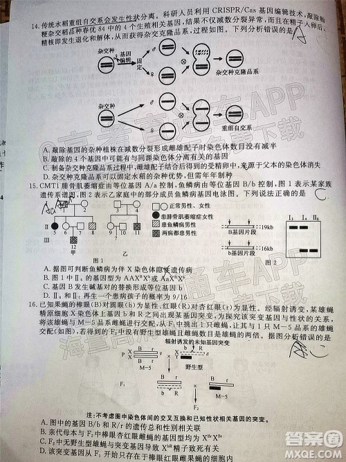 2022届福建高三11月联合测评生物试题及答案