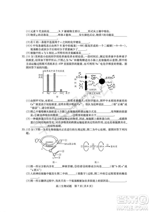 运城市2021高三年级期中调研测试生物试题试卷及答案 运城市2021高三年级期中调研测试生物试题试卷及答案