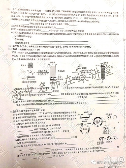 2022年普通高等学校招生全国统一考试仿真密卷二新高考生物试题及答案