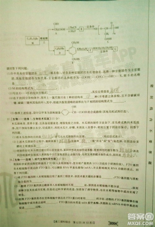 2022届金太阳百万联考2004高三理科综合试题及答案