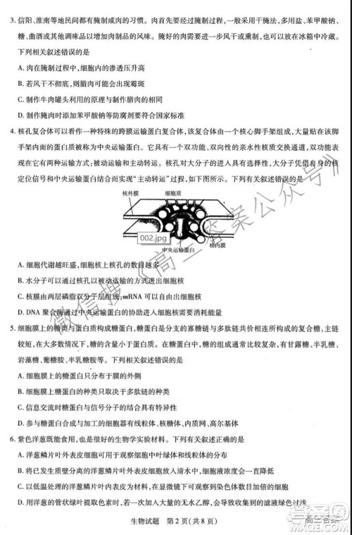 天一大联考2021-2022学年高三年级上学期期中考试生物试题及答案