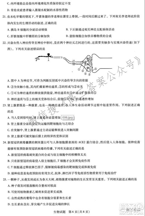 天一大联考2021-2022学年高三年级上学期期中考试生物试题及答案