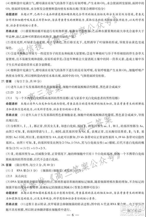 天一大联考2021-2022学年高三年级上学期期中考试生物试题及答案