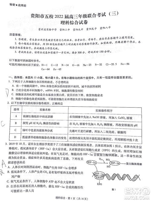贵阳市五校2022届高三年级联合考试三理科综合试题及答案 贵阳市五校2022届高三年级联合考试三理科综合试题及答案