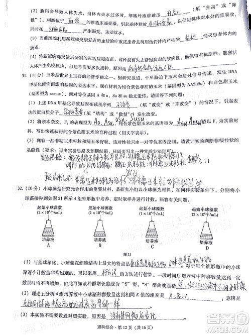 贵阳市五校2022届高三年级联合考试三理科综合试题及答案