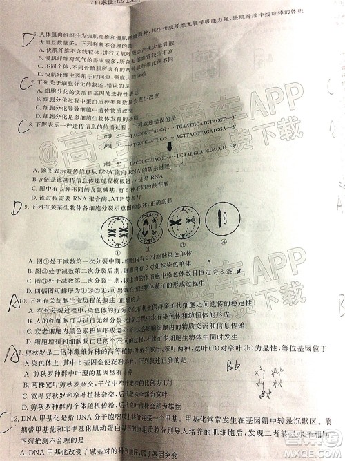 畅学无忧辽宁2022届高三上学期期中考试生物试题及答案 畅学无忧辽宁2022届高三上学期期中考试生物试题及答案