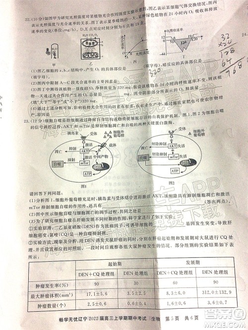 畅学无忧辽宁2022届高三上学期期中考试生物试题及答案 畅学无忧辽宁2022届高三上学期期中考试生物试题及答案
