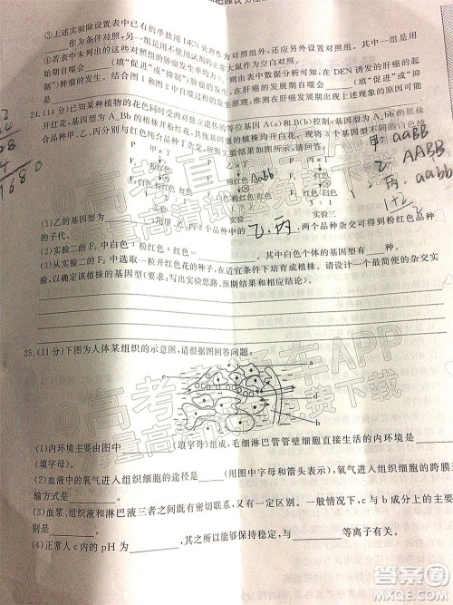 畅学无忧辽宁2022届高三上学期期中考试生物试题及答案 畅学无忧辽宁2022届高三上学期期中考试生物试题及答案