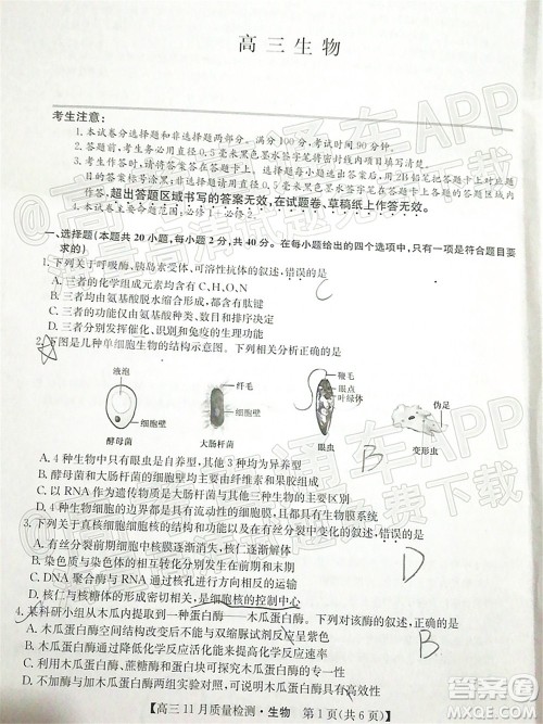 2022届九师联盟高三11月质量检测生物试题及答案 2022届九师联盟高三11月质量检测生物试题及答案