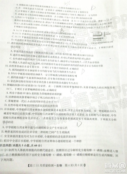 2022届九师联盟高三11月质量检测生物试题及答案 2022届九师联盟高三11月质量检测生物试题及答案