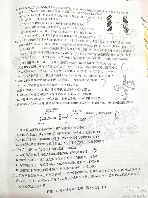 2022届九师联盟高三11月质量检测生物试题及答案 2022届九师联盟高三11月质量检测生物试题及答案