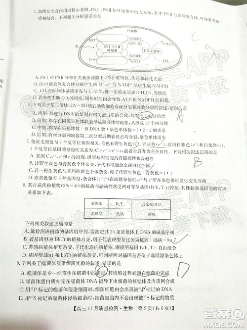 2022届九师联盟高三11月质量检测生物试题及答案