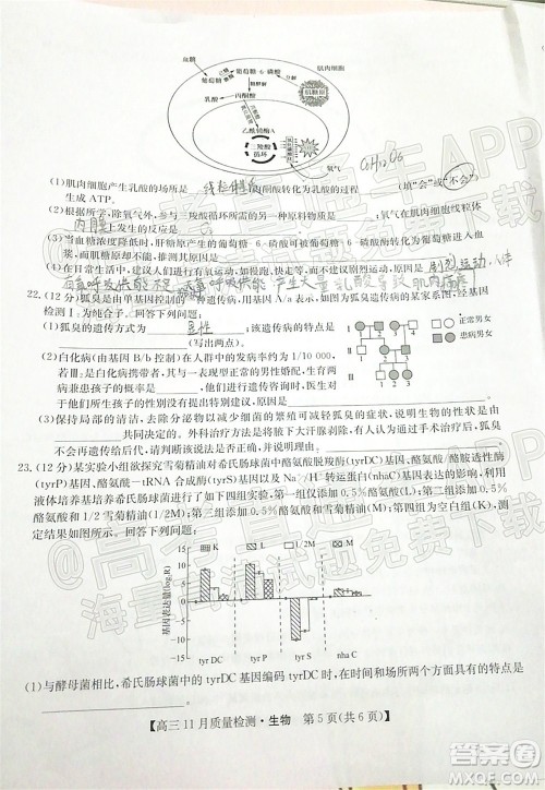 2022届九师联盟高三11月质量检测生物试题及答案