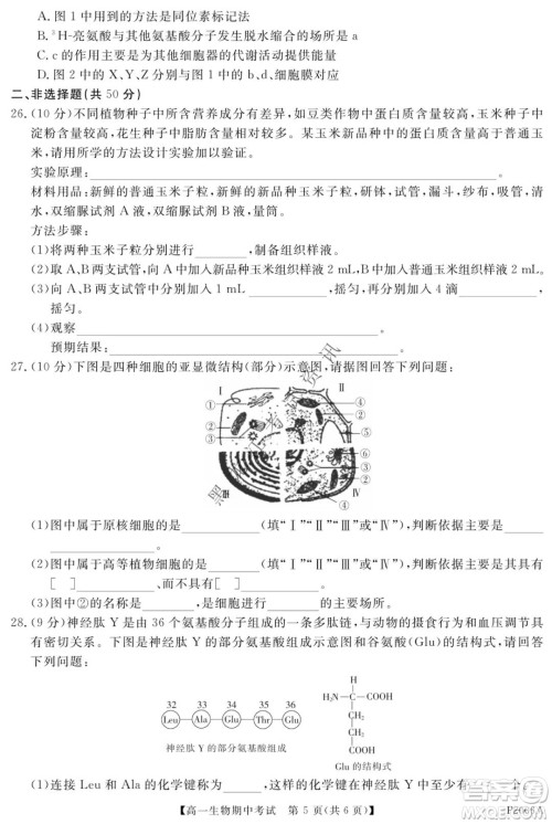 齐齐哈尔五校联谊2021-2022学年高一上学期期中考试生物试题及答案 齐齐哈尔五校联谊2021-2022学年高一上学期期中考试生物试题及答案