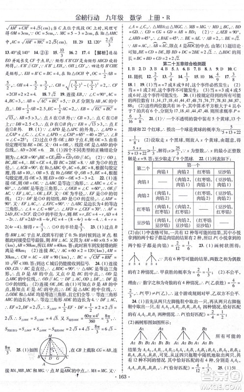 云南美术出版社2021金榜行动课时导学案九年级数学上册R人教版答案 云南美术出版社2021金榜行动课时导学案九年级数学上册R人教版答案