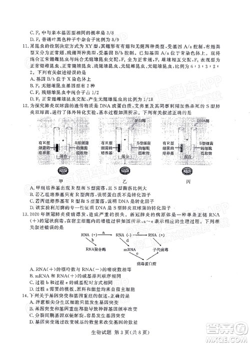 2021年11月湘豫名校联考高三生物试题及答案 2021年11月湘豫名校联考高三生物试题及答案