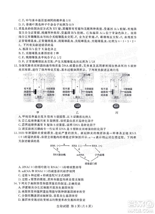 2021年11月湘豫名校联考高三生物试题及答案