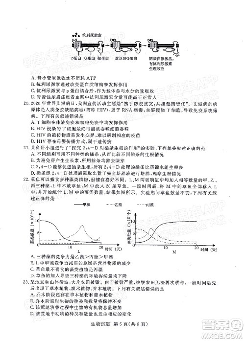 2021年11月湘豫名校联考高三生物试题及答案