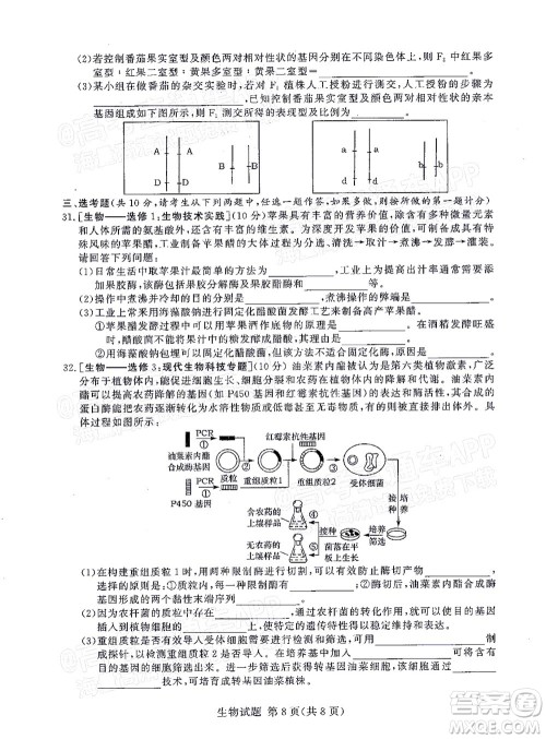 2021年11月湘豫名校联考高三生物试题及答案