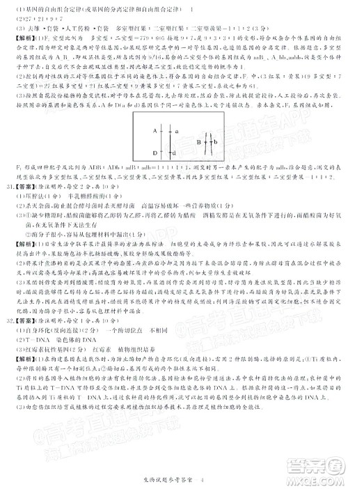 2021年11月湘豫名校联考高三生物试题及答案